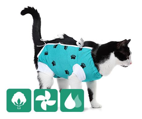 Cat shop surgery onesie