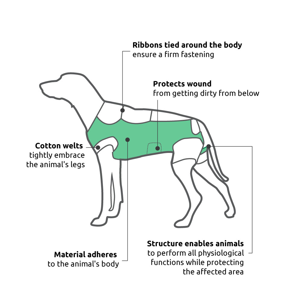 Postoperative dressing scheme